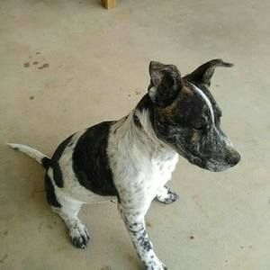 Meet your Posher, Ana